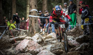 Schwalbe - Strong Commitment to the Gravity section